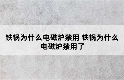 铁锅为什么电磁炉禁用 铁锅为什么电磁炉禁用了